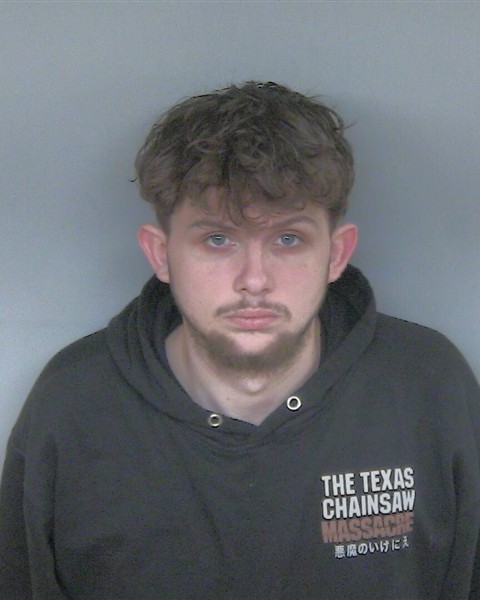 Inmate photo for SKYLAR L ELLIS